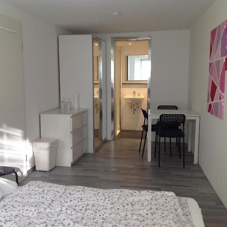 Stadtmitte Ferienwohnung Waldshut Luaran gambar